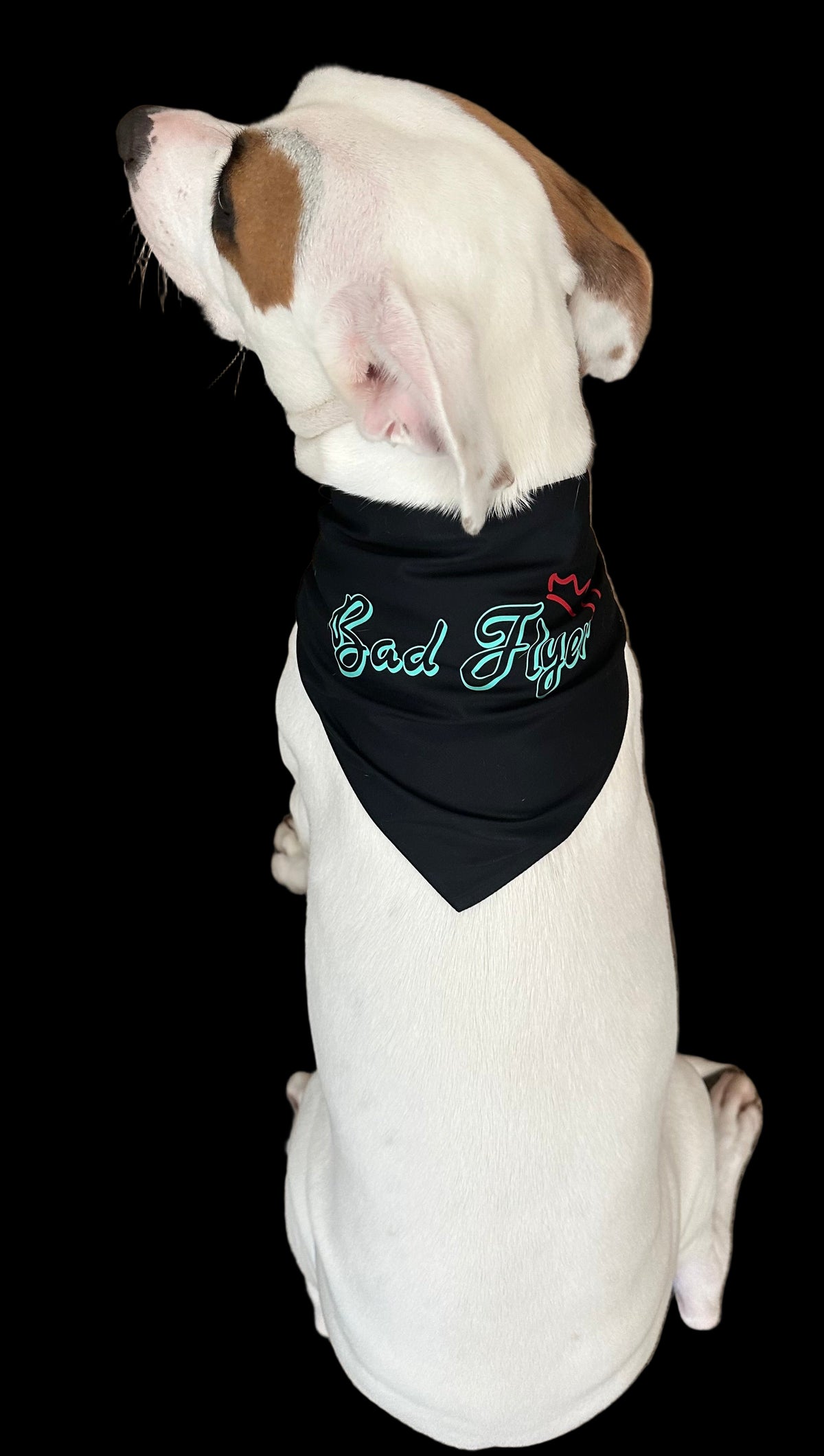 BadFlyer Doggie Bandanna pet accessory